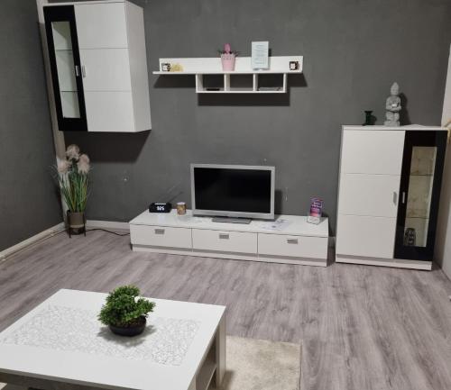 TV a/nebo společenská místnost v ubytování Ferienwohnung Plötzky