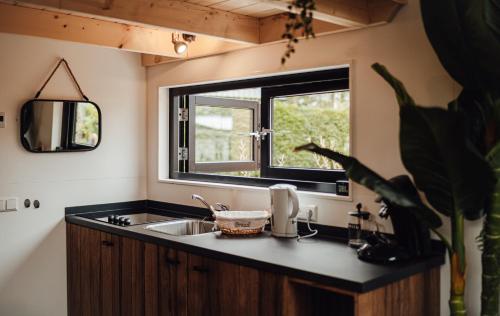 cocina con fregadero y ventana en Tiny Dream House 4p, en Arnhem