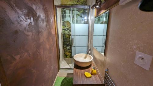 une salle de bain avec un lavabo et un miroir dans l'établissement Chambres et tables d' hôtes, à Manglieu