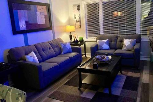 Maple Blue في سانت جون: غرفة معيشة مع أريكة وطاولة قهوة
