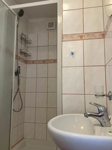 a bathroom with a sink and a shower at Penzion Tereza in Janov nad Nisou