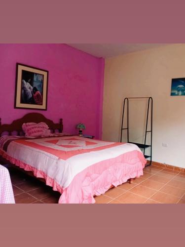 a bedroom with a bed with a pink wall at La casita de la abuela in Cajamarca
