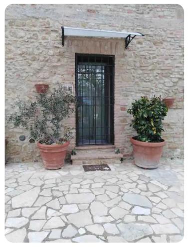 a building with two potted plants in front of a door at La Casina di Ancicucco 1 in San Gimignano