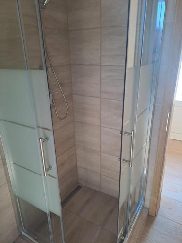 a shower with glass doors in a room at Penzión pri studničke Omastiná in Omastiná