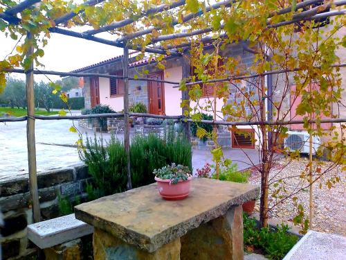 a potted plant on a stone table in a garden at Holiday House Ida in Marezige