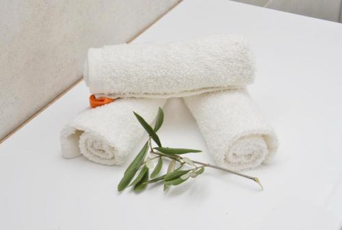 Φωτογραφία από το άλμπουμ του Apartmani Bradasevic Tivat**** σε Tivat