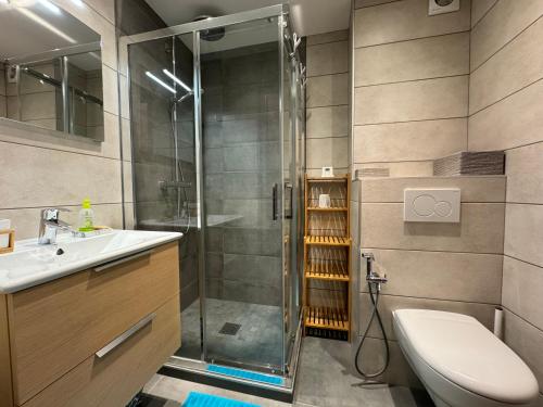une salle de bain avec une douche, des toilettes et un lavabo dans l'établissement CHAMPS DE LA PLAGNE B10, à Morzine