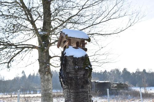 Gite Haven en invierno