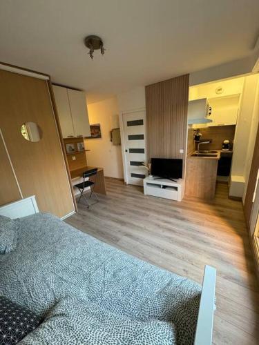 een woonkamer met een bed en een keuken bij Appartement studio in Nice