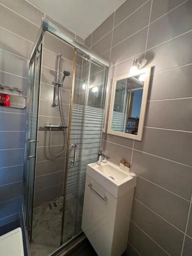 een badkamer met een douche, een toilet en een wastafel bij Appartement studio in Nice