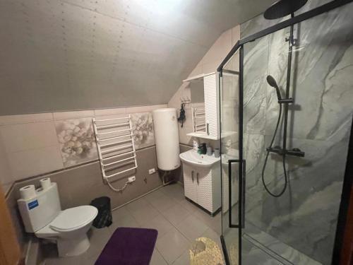 a bathroom with a shower and a toilet and a sink at Карпатське Щастя in Verkhovyna