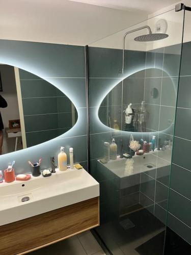 une salle de bain avec un lavabo et un miroir dans l'établissement Résidence calme proche des commerces et plages, à Sarrola-Carcopino