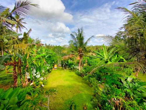 Κήπος έξω από το D'Nanda mini hotel Ubud