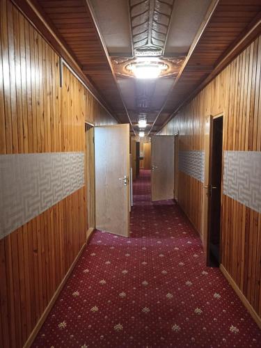 an empty hallway with doors and a red carpet at Green House in Wola Przypkowska