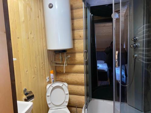 ein kleines Bad mit einem WC und einer Dusche in der Unterkunft Шепіт річки in Synewyr