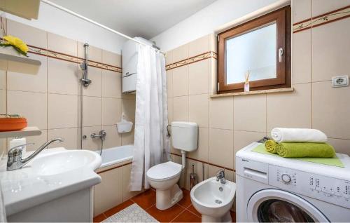 uma casa de banho com um lavatório e uma máquina de lavar roupa em Haus Nono em Sveti Petar u Šumi