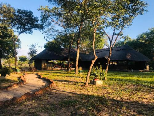 una cabaña con un árbol delante de ella en Sukulu Reserve, en Livingstone