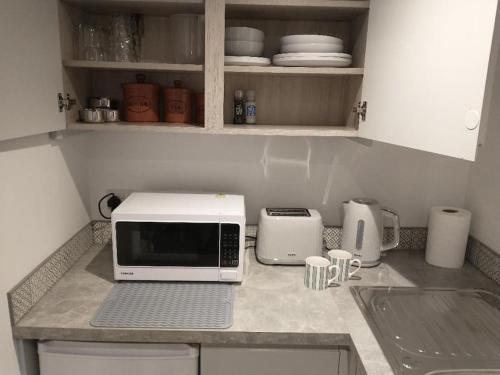 a kitchen counter with a microwave on a counter top at Cosy Garden Studio Room in Hove