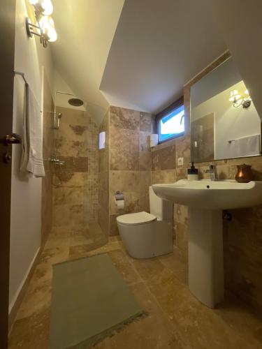 a bathroom with a sink and a toilet at Casa IEUD in Sinaia
