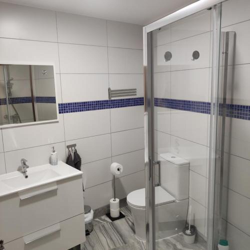 a bathroom with a shower and a toilet and a sink at Casa Pp in Finestrat