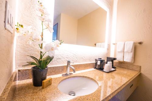 baño con lavabo y jarrón de flores en Mai Hana Hotel en Orlando