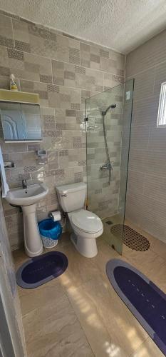 a bathroom with a toilet and a sink and a shower at Apartamento bella vista in Santa Bárbara de Samaná