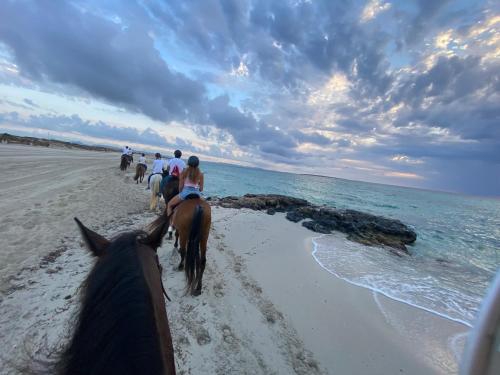 a group of people riding horses on the beach at Vamos a la playa ! in Es Pujols