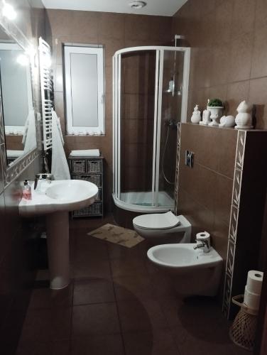 a bathroom with a shower and a toilet and a sink at Widokowa Apartament in Szczecin