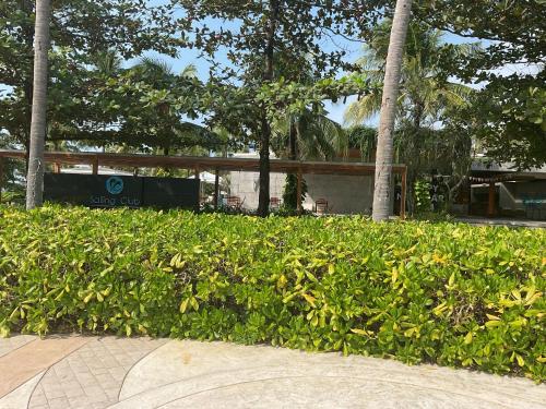 a green hedge with trees and a building in the background at Green Inn Phu Quoc Hotel in Phu Quoc