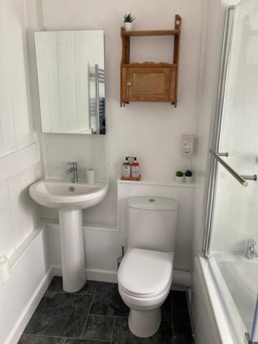 a white bathroom with a toilet and a sink at Nutshell in Sturminster Newton