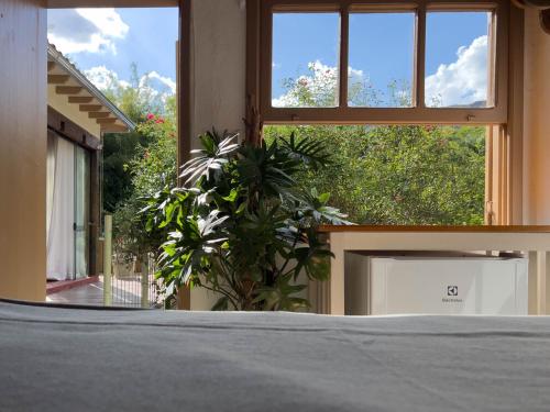 una camera da letto con una grande finestra con una pianta di Pousada Vagalume a Tiradentes