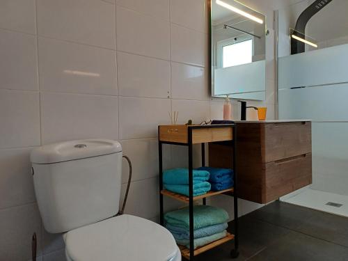 bagno con servizi igienici, lavandino e specchio di AL - Perola Dourada a Santana