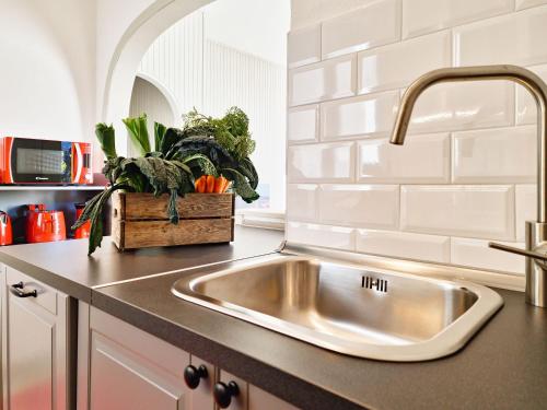 a stainless steel sink in a kitchen with plants at Panoramic lakeview house Bellagio in Civenna