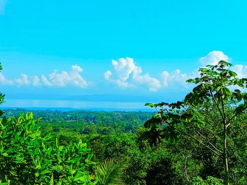 Paisagem natural perto desta villa