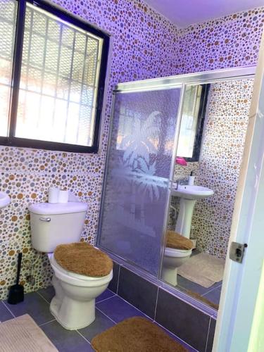 baño púrpura con aseo y ducha en The best site for you to rest en Los Mameyes