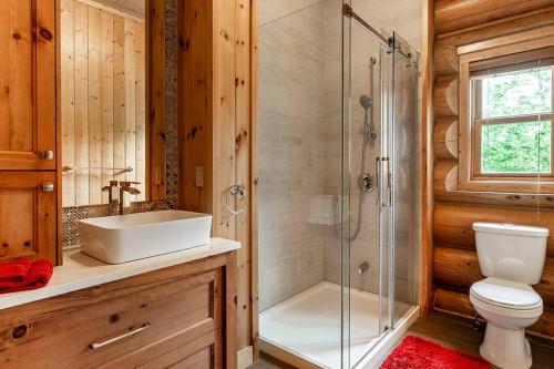 a bathroom with a toilet and a sink and a shower at Chalet White Rabbit au Lac Fiddler in Mille-Isles