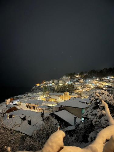 a view of a city with snow covered roofs at Villa Malezan in Ohrid