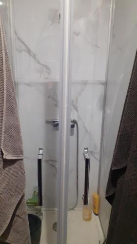 La salle de bains est pourvue d'une douche et d'une paroi en verre. dans l'établissement studios Magnan, à Nice