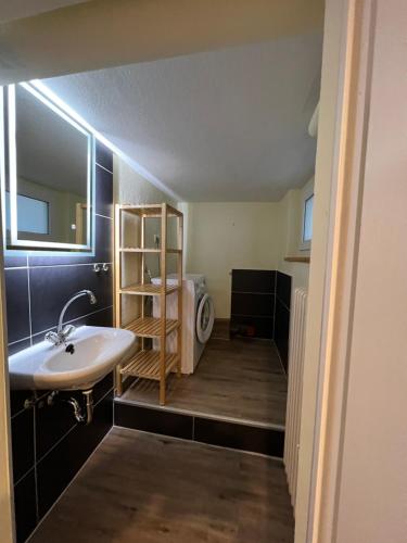 a bathroom with a sink and a toilet at Platell Ferienhäuser Harz Lonau in Herzberg am Harz