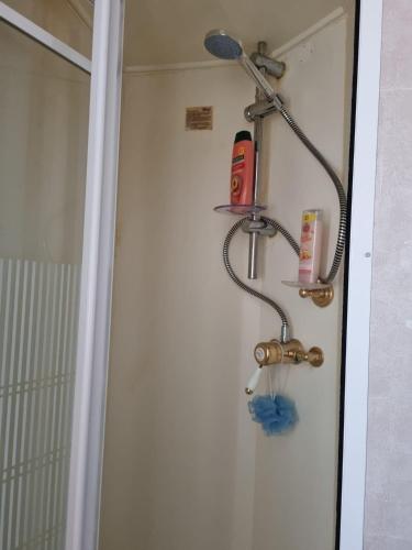 ducha con secador de pelo y cabezal de ducha en Martins paradise en Mablethorpe
