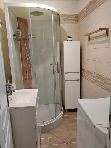 a bathroom with a shower and a sink at La maison des noyers in Parigné-lʼÉvêque