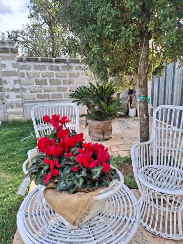two white chairs and a table with red flowers on it at B&B Le Torri in Santeramo in Colle