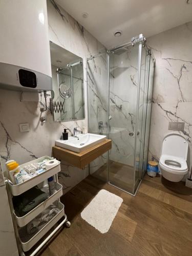 a bathroom with a shower and a sink and a toilet at Tenea Apartment & SPA in Zlatibor