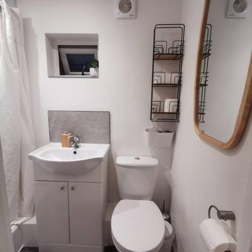 a white bathroom with a toilet and a sink at Luxury Cabin with Hot-Tub & Cold Plunge! in Cheltenham