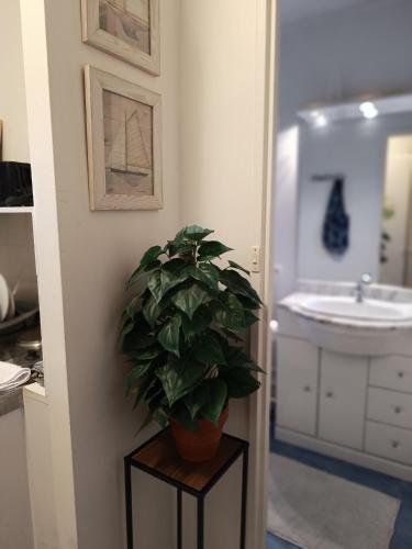 d'une salle de bains avec une plante sur un support à côté d'un lavabo. dans l'établissement Les-Hauts-de-Montrichard-Nid douillet !, à Montrichard