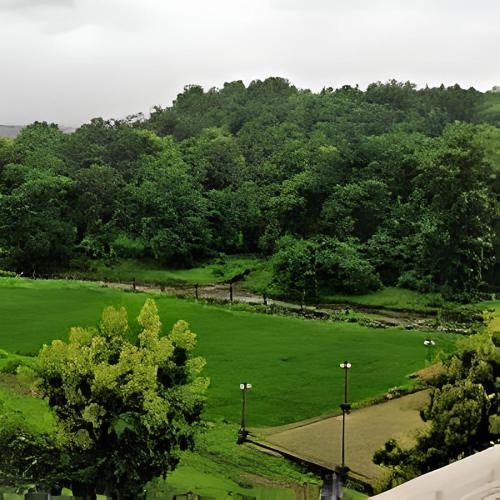 a large green field with trees in the background at Kamal Farm Resort in Shenwa