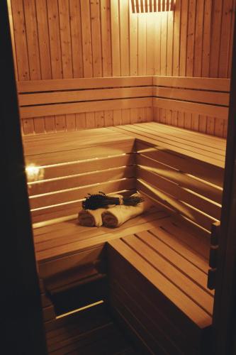 a inside of a sauna with a dog laying at Lavendowo in Piechowice