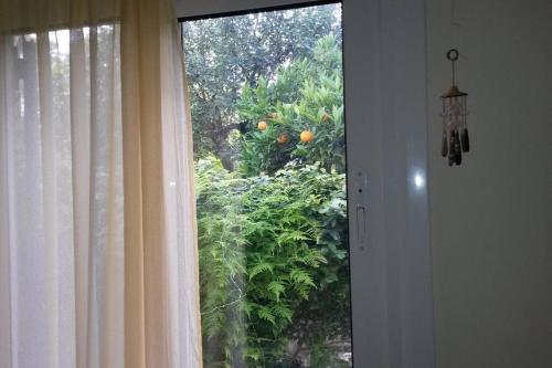 Small House with Garden