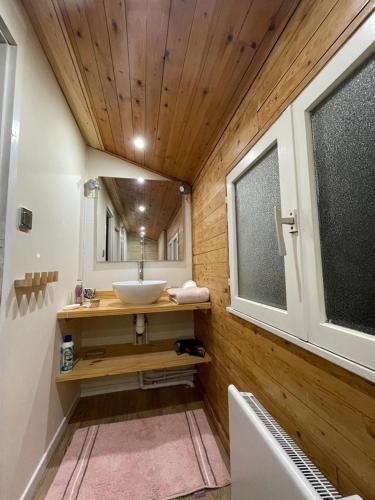 une salle de bain avec un lavabo et un miroir dans l'établissement Maison familiale en bois avec piscine, proche du bassin, à Gujan-Mestras