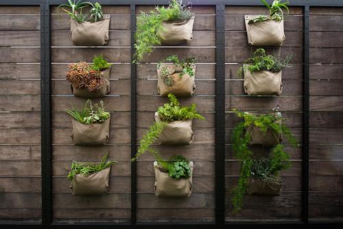 a bunch of plants are hanging on a wall at Collection Luxury Accomodation Simola House in Knysna